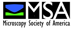 MSA Career Center